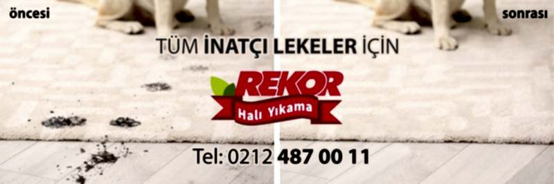 Leke Çıkarma Rekor Halı Yıkama