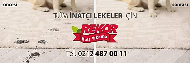 Göztepe Halı Yıkama