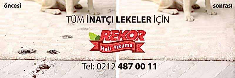 Evinizin Daha Güzel Kokması İçin Pratik Çözümler
